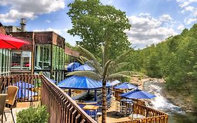 The Woodlands Inn